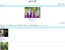 Tablet Screenshot of m.photozou.jp